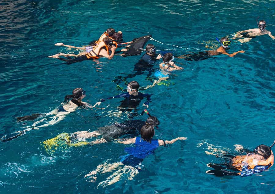 Phuket/Khaolak: Similan Islands Speed Catamaran Premium Trip - Island 9 (Koh Ba Ngu): coral formations and marine life for snorkelers