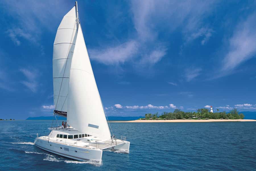 Port Douglas: Low Isles Afternoon Cruise on Luxury Catamaran - Key highlights that make this cruise worth your afternoon