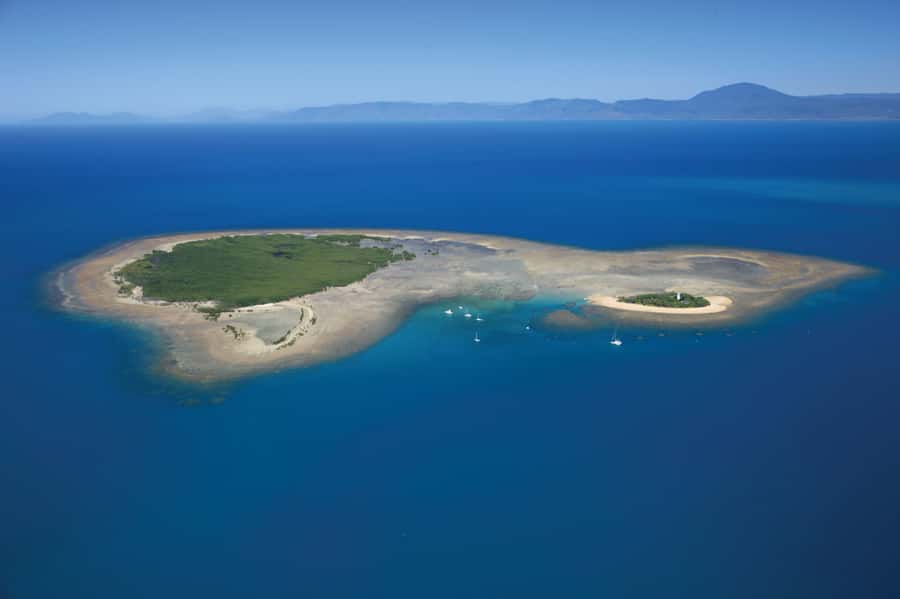 Port Douglas: Low Isles Afternoon Cruise on Luxury Catamaran - The Low Isles stop: lagoon time, guided snorkel coaching, and island exploring