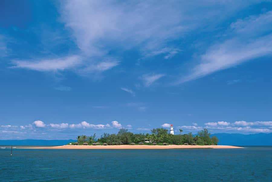 Port Douglas: Low Isles Afternoon Cruise on Luxury Catamaran - Price and value at around $240: what you’re paying for