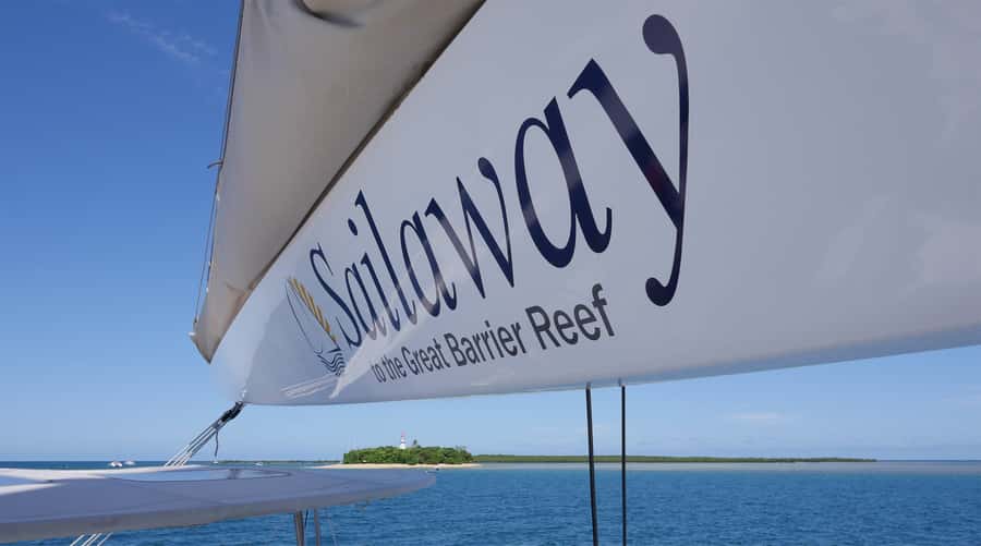 Port Douglas: Low Isles Afternoon Cruise on Luxury Catamaran - Who should book, and who should consider skipping snorkelling