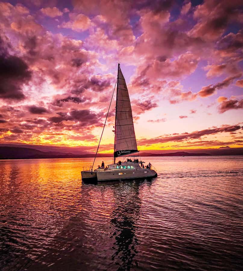 Port Douglas: Low Isles Afternoon Cruise on Luxury Catamaran - Practical tips: what to bring for Low Isles and a smooth afternoon
