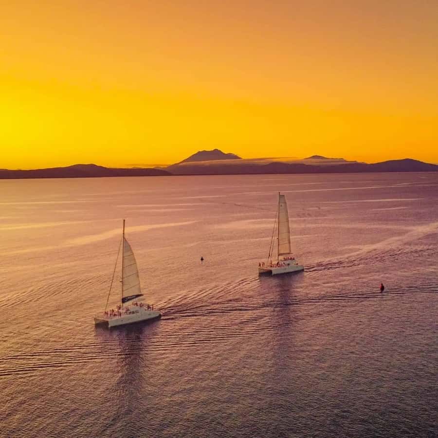 Port Douglas: Low Isles Afternoon Cruise on Luxury Catamaran - Should you book this Port Douglas Low Isles cruise?