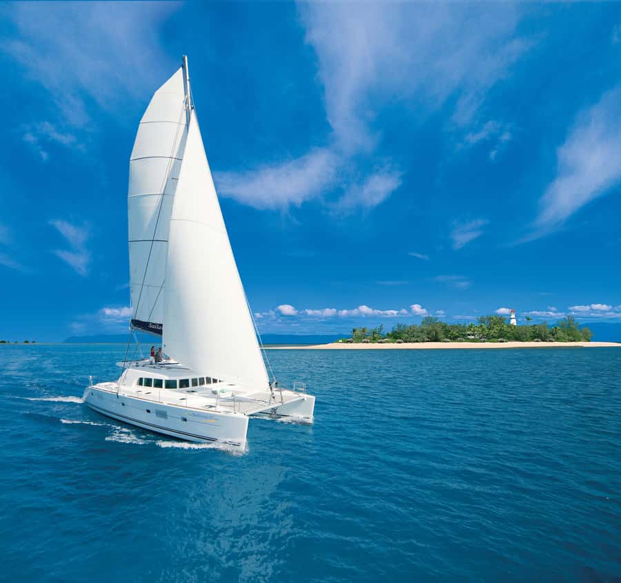 Port Douglas: Reef & Low Isles Cruise on Luxury Catamaran - A Calm 8-Hour Morning Ride Out of Port Douglas