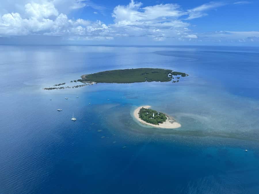 Port Douglas: Reef & Low Isles Cruise on Luxury Catamaran - Glass-Bottom Boat and Reef Interpretation You Can Actually Use