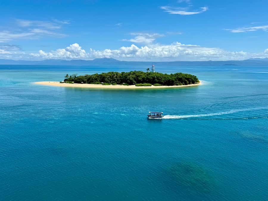 Port Douglas: Reef & Low Isles Cruise on Luxury Catamaran - Small-Group Service: Safety, Speed, and Attention
