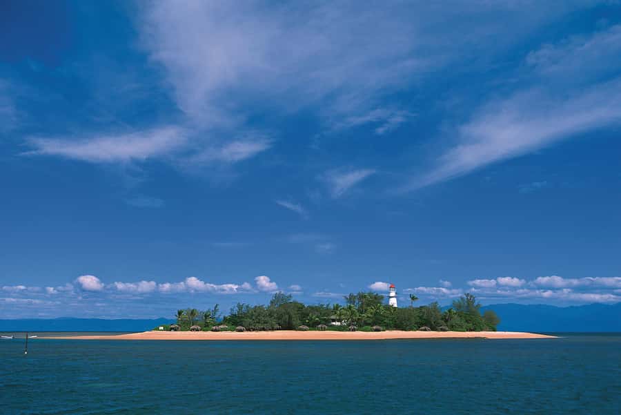 Port Douglas: Reef & Low Isles Cruise on Luxury Catamaran - Price and Value: Is $240 for Low Isles a Good Deal?