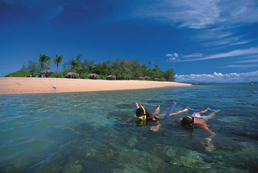 Port Douglas: Reef & Low Isles Cruise on Luxury Catamaran - Getting to Low Isles Before Most People Even Arrive