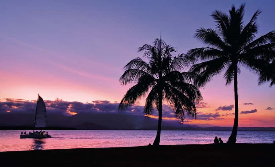 Port Douglas: Sunset Sailing Cruise on Luxury Catamaran - The views: Coral Sea light and Daintree coastline angles