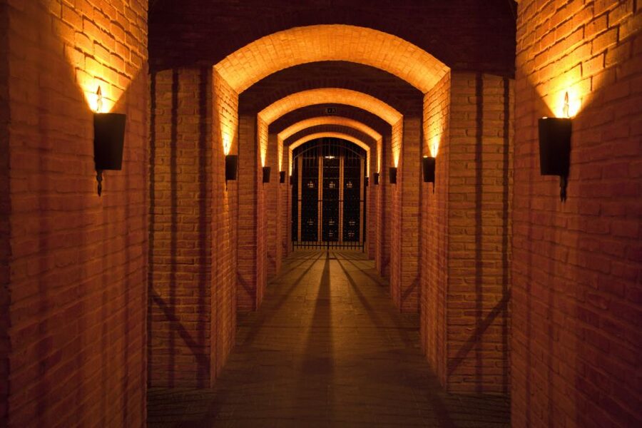 Porto: Graham's Port Lodge Tour with Premium Wine Tastings - Entering Graham’s 1890 Port Lodge Across the Douro