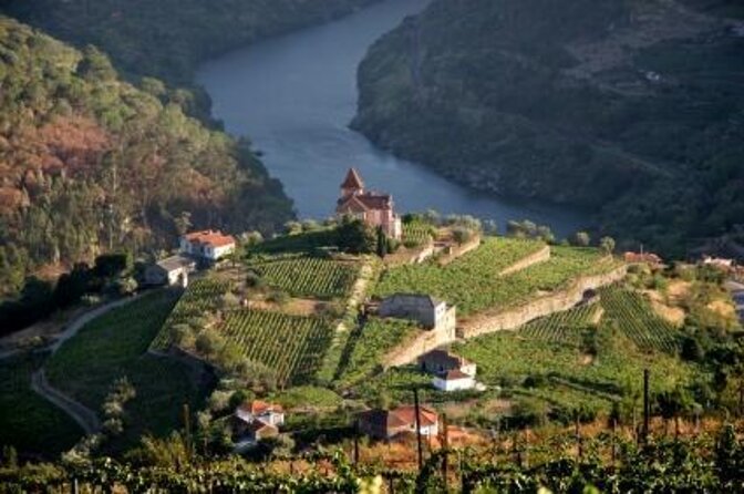 Porto: Luxury Yacht Cruise on the Douro River and Estuary Reserve - Key highlights you’ll actually care about