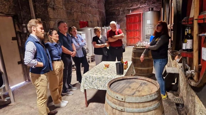 Porto: Premium Douro Valley Small-Group Tour, Cruise & Lunch - Sabrosa winery time: traditional production you can picture