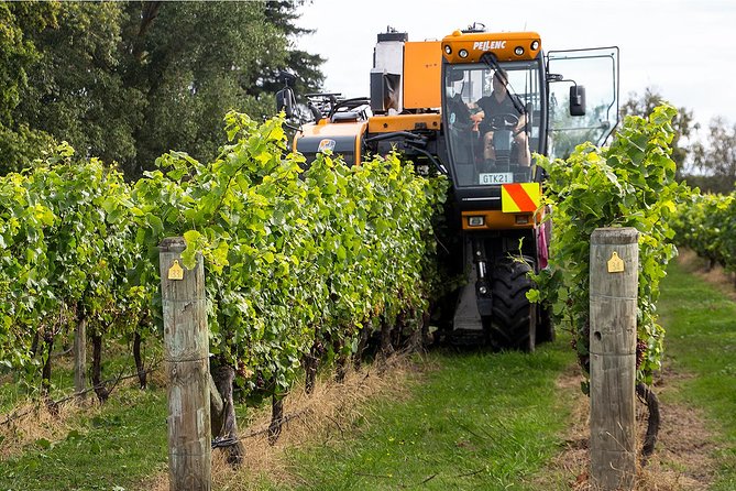 Premium 4 -Best Wineries Napier Hawke's Bay Tour, 5.5h - 6Hours - Key highlights that make this tour worth your time