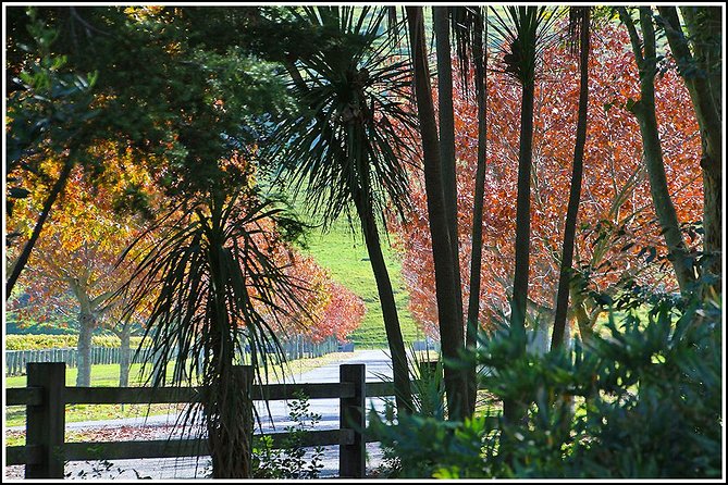Premium 4 -Best Wineries Napier Hawke's Bay Tour, 5.5h - 6Hours - Lunch that keeps you comfortable (and why portion size is the only watch-out)