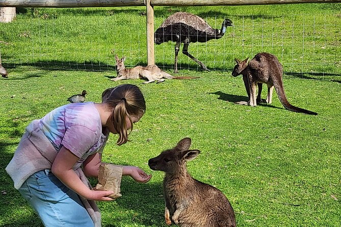 Premium Adelaide Hills Cleland Wildlife and Hahndorf Minibus Tour - A Small-Group Minibus Day Around Adelaide Hills