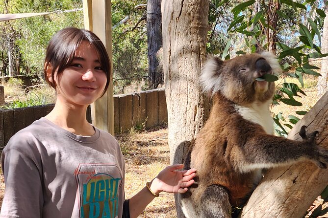Premium Adelaide Hills Cleland Wildlife and Hahndorf Minibus Tour - Melba’s Chocolate: A Factory Shop Break You’ll Actually Enjoy