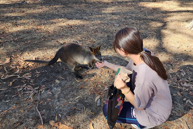Premium Adelaide Hills Cleland Wildlife and Hahndorf Minibus Tour - Cobb’s Hill Estate: Cheese Platter With Optional Wine Tasting