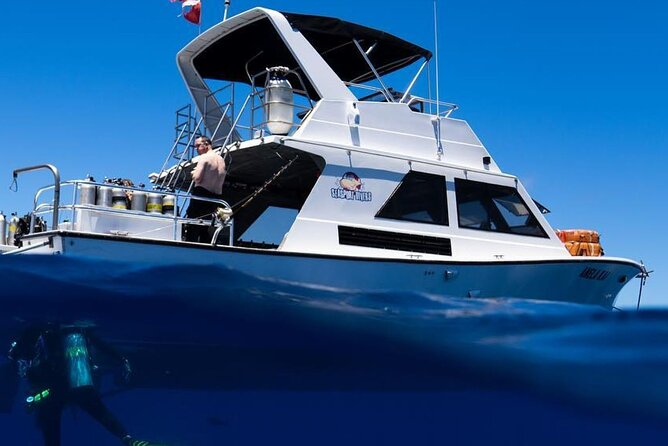 Premium Afternoon Scuba Charter for All Certified Diver Levels - Key Things I’d Prioritize