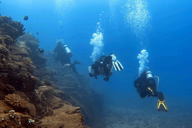 Premium Afternoon Scuba Charter for All Certified Diver Levels - Included Comforts: Warm Showers and Snacks (Worth It)