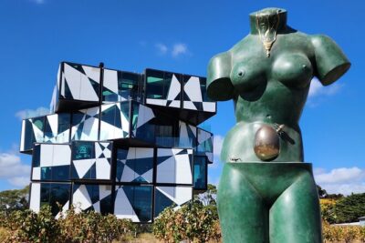 Premium All-Inclusive McLaren Vale Wine and Brew Minibus Tour - Adelaide Pickup and the Rhythm of an 8-Hour Wine Day