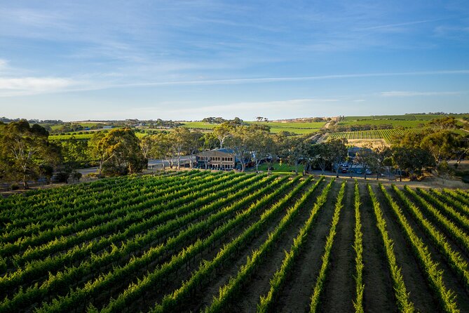 Premium All-Inclusive McLaren Vale Wine and Brew Minibus Tour - Lunch Pairings and Included Tastings: Is It Good Value?