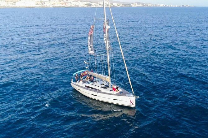 Premium All Inclusive Whale & Dolphin Watching Experience - Why Whale Watching From Tenerife’s South Coast Makes Sense