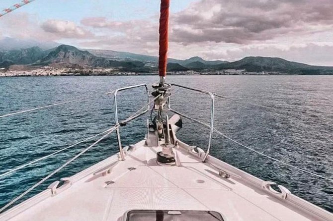 Premium All Inclusive Whale & Dolphin Watching Experience - Wildlife Expectations: Whales, Dolphins, and the Sea Turtle Surprise