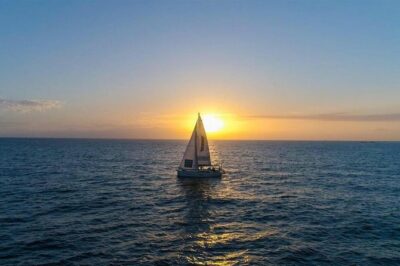 Premium All Inclusive Whale & Dolphin Watching Experience - The 3-Hour Flow From Puerto Colón: What Happens on Board