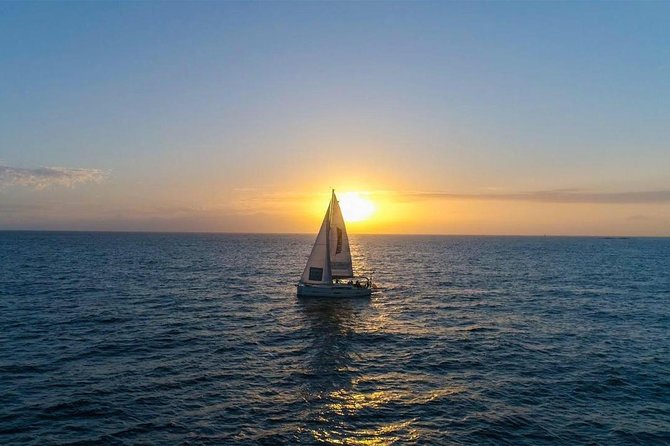 Premium All Inclusive Whale & Dolphin Watching Experience - The 3-Hour Flow From Puerto Colón: What Happens on Board