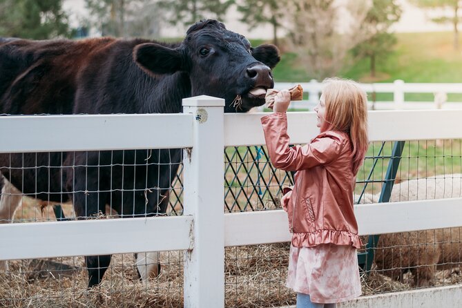 Premium Amish Country Tour including Amish Farm and House - The 90-minute countryside minibus ride: where the story happens