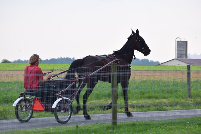 Premium Amish Country Tour including Amish Farm and House - Food and breaks: plan a snack mindset