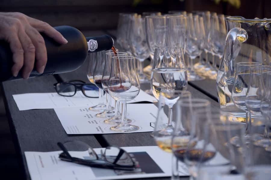 Premium Argentinian Wines and Malbec Tasting Experience - Price and Value in Buenos Aires: Is $50 Actually Fair?