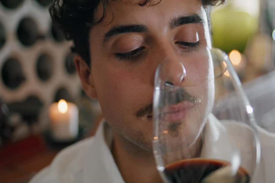 Premium Argentinian Wines and Malbec Tasting Experience - Who This Tasting Fits Best (and Who Should Skip It)