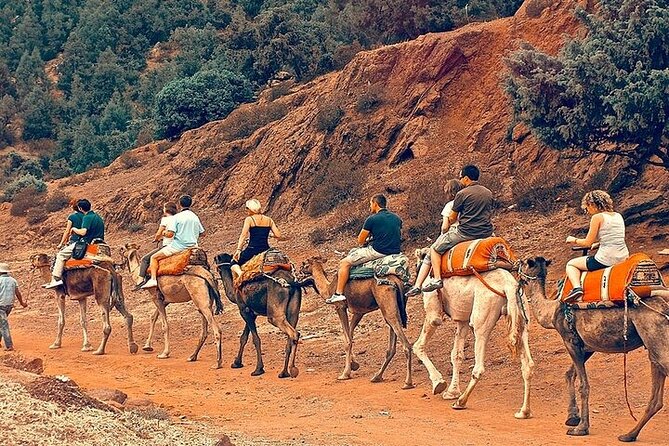 Premium Atlas Mountains & Berber Village Day Trip with Camel Ride - Imlil trekking: terraced farms, waterfalls, and a Berber-house meal