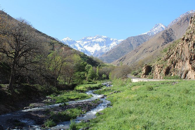 Premium Atlas Mountains & Berber Village Day Trip with Camel Ride - When it might not be your best match