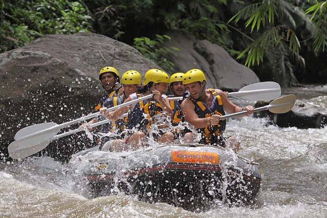 Premium Ayung River White Water Rafting in Bali - Price and Value: Why $43 Can Feel Like a Deal
