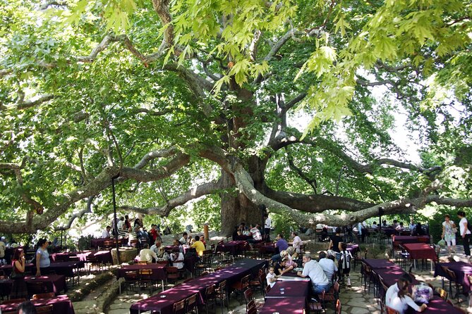 Premium Bursa and Uludag Tour - (Breakfast-Lunch Included) - Jam Factory and Turkish Delight Stop: Sweet Breaks and the Shopping Reality