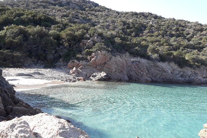 PREMIUM catamaran excursion archipelago of La Maddalena - Stop 1: Porto della Madonna and the first chance to get in