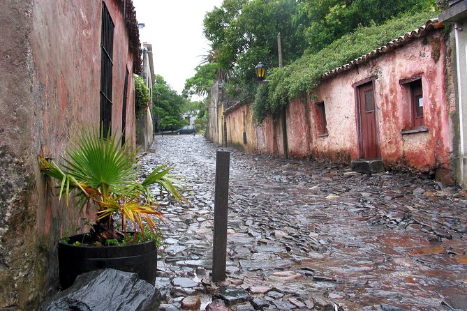 Premium Day Tour to Colonia del Sacramento - Price and logistics: is $118 a fair deal?