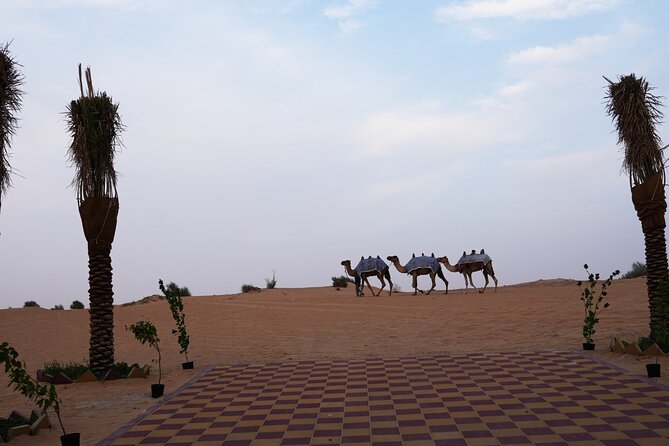 Premium Deluxe Dubai Safari with Camel Ride, Sandboard & BBQ - Dinner details: BBQ-style spread plus vegetarian and Jain-friendly options