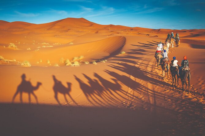 Premium Desert Safari with BBQ Dinner - Dubai - The Desert Drive in the 4x4: Where the Night Gets Real