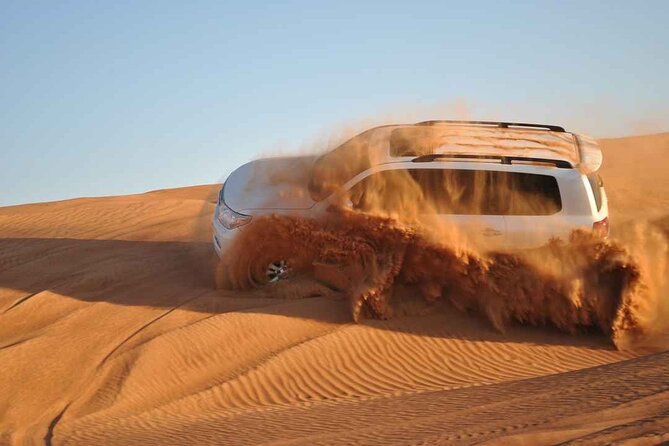 Premium Desert Safari with Dinner, Dunes and Ten Shows (VIP) - Falconry-Style Performance and Other Live Acts