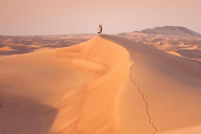 Premium Desert safari With Dune buggy camel ride BBQ dinner - Camel ride in Al Awir: the calmer part before sunset