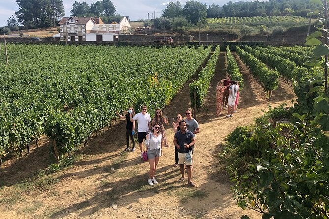 Premium Douro Valley Small-Group Tour, Wine Tasting, Lunch & Boat - Pinhão village + a one-hour wooden boat ride on the Douro