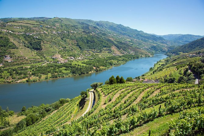 Premium Douro Valley Small-Group Tour, Wine Tasting, Lunch & Boat - Vilarinho de São Romão: olive oil, honey, and table wines