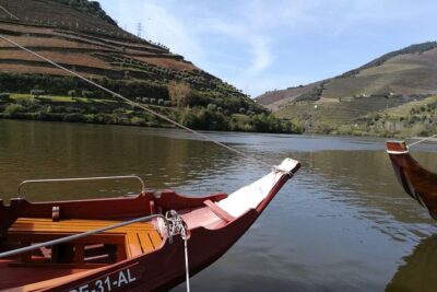 Premium Douro Valley Small-Group Tour, Wine Tasting, Lunch & Boat - Casa dos Barros lunch: food choices and big vineyard views