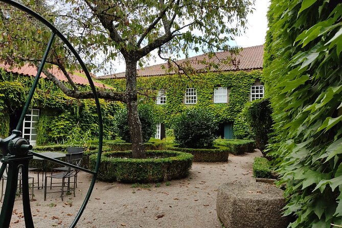 Premium Douro Valley Small-Group Tour, Wine Tasting, Lunch & Boat - The guides and the vibe: why the day feels easy