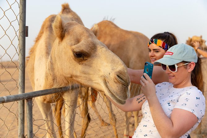 Premium Dubai Desert Safari with BBQ Dinner in the Red Dunes - BBQ Dinner Under the Stars With Shawarma Station