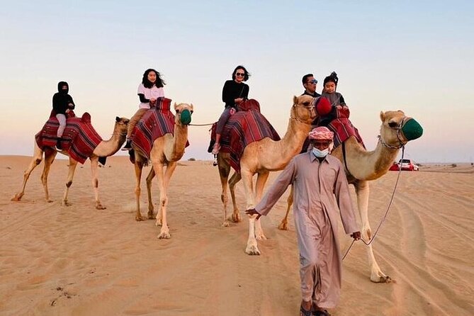 Premium Dubai Red Dunes with quadbike, camel ride and VIP Dinner - Bedouin-style VIP dinner: food at the table, shows on the night shift