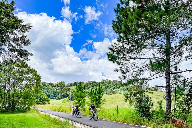 Premium E Bike Hire at the Northern Rivers Rail Trail - Northern Rivers Rail Trail: a car-free half day with real variety